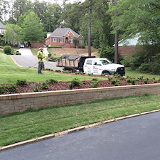 Shrubs-Sod 31